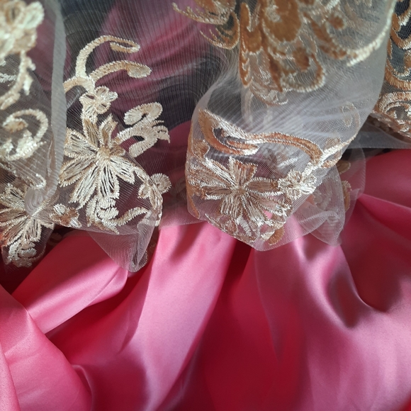 💝Dress, Girls Size: 3T, Color Pink/Gold lace - Picture 10 of 11